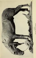 Picture 17 of 21 from American masters of sculpture: being brief appreciations of some American sculptors and of some phases of sculpture in America (1913), leaf 212