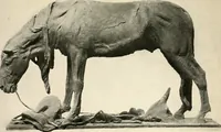 An illustration from American masters of sculpture : being brief appreciations of some American sculptors and of some phases of sculpture in America (1913)