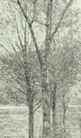 Picture 29 of 33 from American masters of painting : being brief appreciations of some American painters ; illustrated with examples of their work (1918), leaf 213