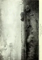 An illustration from American masters of painting : being brief appreciations of some American painters ; illustrated with examples of their work (1918)