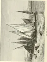 An illustration from American painters: with eighty-three examples of their work engraved on wood (1879)