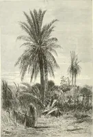 Picture 46 of 88 from American painters: with eighty-three examples of their work engraved on wood (1879), leaf 183