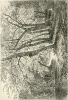An illustration from American painters: with eighty-three examples of their work engraved on wood (1879)
