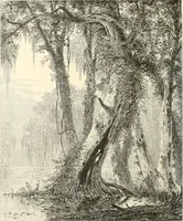 An illustration from American painters: with eighty-three examples of their work engraved on wood (1879)