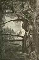 An illustration from American painters: with eighty-three examples of their work engraved on wood (1879)