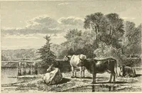 An illustration from American painters: with eighty-three examples of their work engraved on wood (1879)