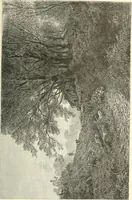 An illustration from American painters: with eighty-three examples of their work engraved on wood (1879)