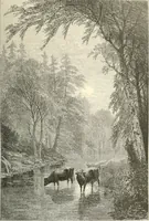 An illustration from American painters: with eighty-three examples of their work engraved on wood (1879)