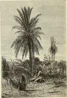 An illustration from American painters : with one hundred and four examples of their work engraved on wood (1881)