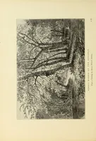 An illustration from American painters : with one hundred and four examples of their work engraved on wood (1881)