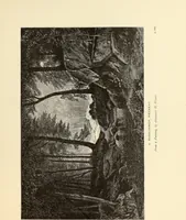 An illustration from American painters : with one hundred and four examples of their work engraved on wood (1881)