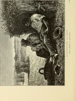 An illustration from American painters : with one hundred and four examples of their work engraved on wood (1881)