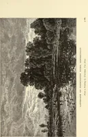 Picture 78 of 88 from American painters : with one hundred and four examples of their work engraved on wood (1881), leaf 386