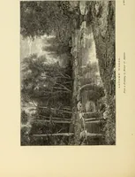 An illustration from American painters : with one hundred and four examples of their work engraved on wood (1881)