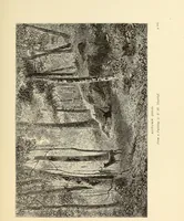 An illustration from American painters : with one hundred and four examples of their work engraved on wood (1881)