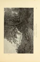 An illustration from American painters : with one hundred and four examples of their work engraved on wood (1881)