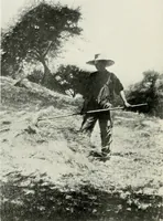 An illustration from American painters of yesterday and today (1919)