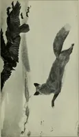 An illustration from American painting and its tradition, as represented by Inness, Wyant, Martin, Homer, La Farge, Wistler, Chase, Alexander, Sargent (1919)