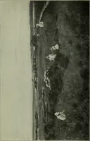An illustration from American painting and its tradition, as represented by Inness, Wyant, Martin, Homer, La Farge, Wistler, Chase, Alexander, Sargent (1919)