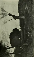 An illustration from American painting and its tradition, as represented by Inness, Wyant, Martin, Homer, La Farge, Wistler, Chase, Alexander, Sargent (1919)