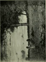 An illustration from American painting and its tradition, as represented by Inness, Wyant, Martin, Homer, La Farge, Wistler, Chase, Alexander, Sargent (1919)