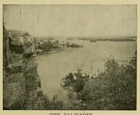 Picture 7 of 8 from The American philatelist (1887), leaf 293