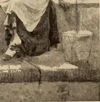An illustration from American pictures and their painters (1917)