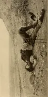 An illustration from American pictures and their painters (1917)
