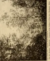 An illustration from American pictures and their painters (1917)