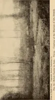 An illustration from American pictures and their painters (1917)