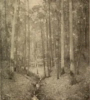 An illustration from American pictures and their painters (1917)