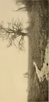 An illustration from American pictures and their painters (1917)