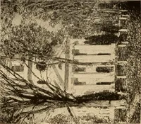 Picture 120 of 220 from American pictures and their painters (1917), leaf 283