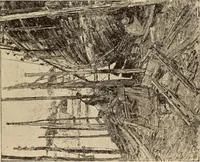 An illustration from American pictures and their painters (1917)