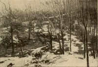 An illustration from American pictures and their painters (1917)