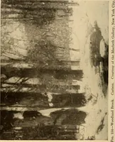 An illustration from American pictures and their painters (1917)