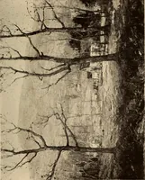 An illustration from American pictures and their painters (1917)
