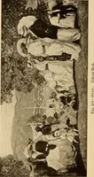 An illustration from American pictures and their painters (1917)