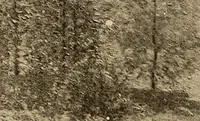 An illustration from American pictures and their painters (1917)