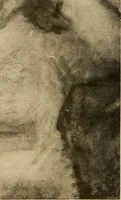 Picture 10 of 220 from American pictures and their painters (1917), leaf 45