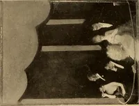 An illustration from American pictures and their painters (1917)