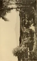 An illustration from American pictures and their painters (1917)