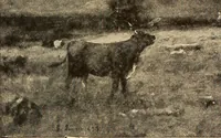 An illustration from American pictures and their painters (1917)