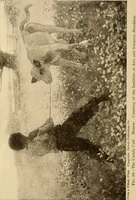 An illustration from American pictures and their painters (1917)