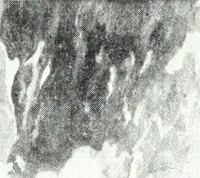 An illustration from American pictures and their painters (1921)