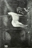 An illustration from American pictures and their painters (1921)