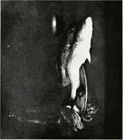 An illustration from American pictures and their painters (1921)