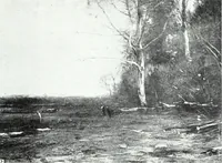 An illustration from American pictures and their painters (1921)