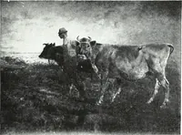 An illustration from American pictures and their painters (1921)