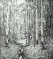 An illustration from American pictures and their painters (1921)